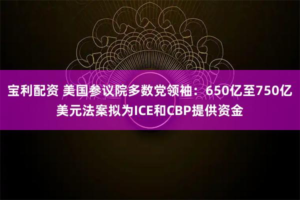 宝利配资 美国参议院多数党领袖：650亿至750亿美元法案拟为ICE和CBP提供资金